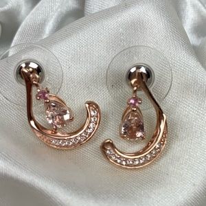 🌸Marropino Morganite Earrings🌸